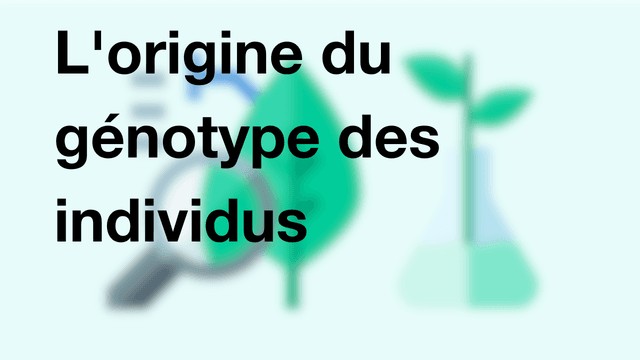 L'origine du génotype des individus