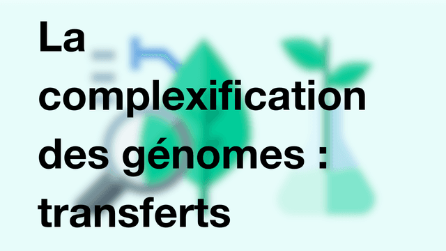 La complexification des génomes : transferts horizontaux et endosymbioses