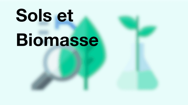 Sols et Biomasse