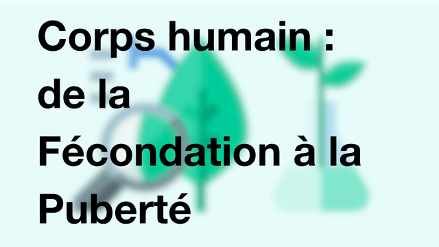 Corps humain : de la Fécondation à la Puberté