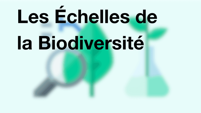 Les Échelles de la Biodiversité