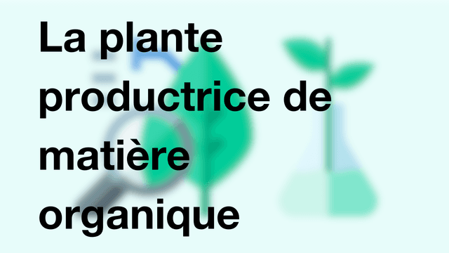 La plante productrice de matière organique