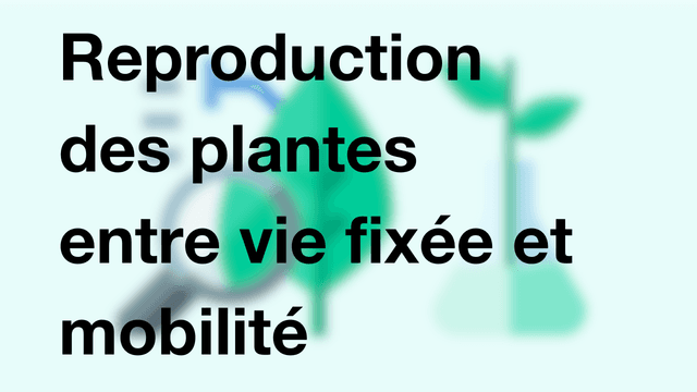 Reproduction des plantes entre vie fixée et mobilité