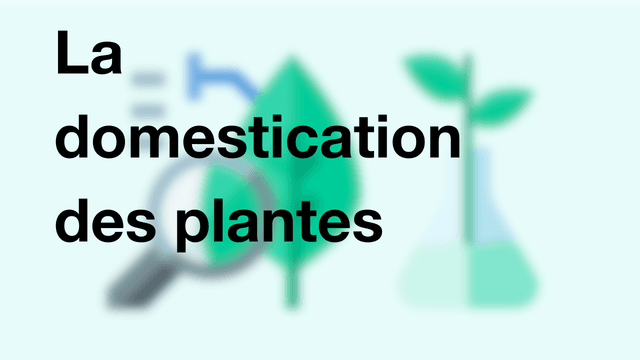 La domestication des plantes