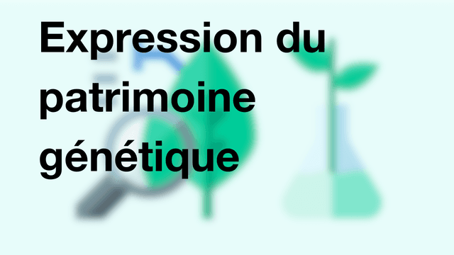 Expression du patrimoine génétique