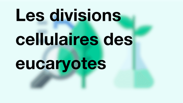 Les divisions cellulaires des eucaryotes