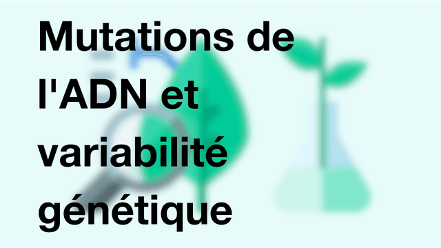 Mutations de l'ADN et variabilité génétique