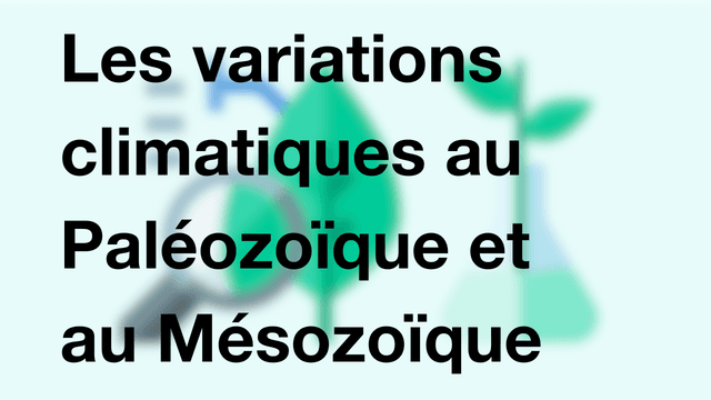 Les variations climatiques au Paléozoïque et au Mésozoïque