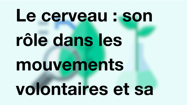 Le cerveau : son rôle dans les mouvements volontaires et sa fragilité