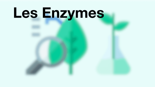 Les Enzymes