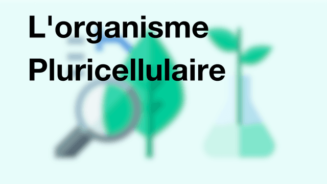 L'organisme Pluricellulaire