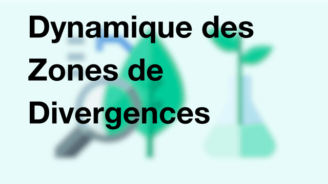 Dynamique des Zones de Divergences