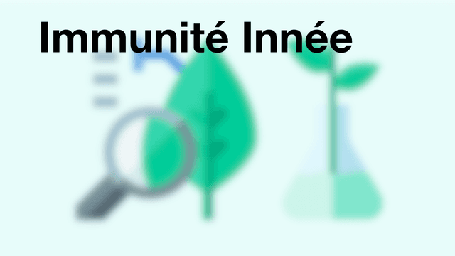 Immunité Innée