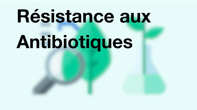 Résistance aux Antibiotiques