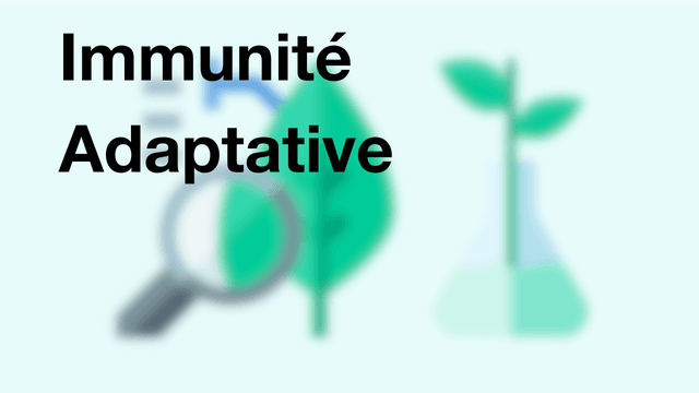 Immunité Adaptative