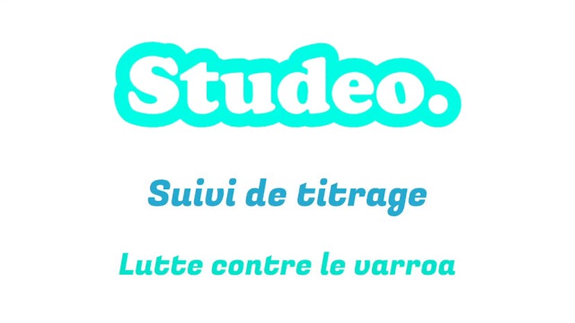 Home Screen Studeo Student Image